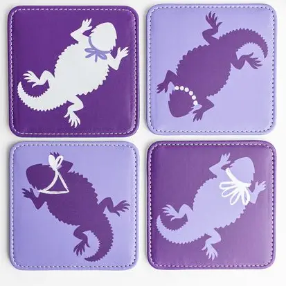 SPIRIT FROG COASTERS