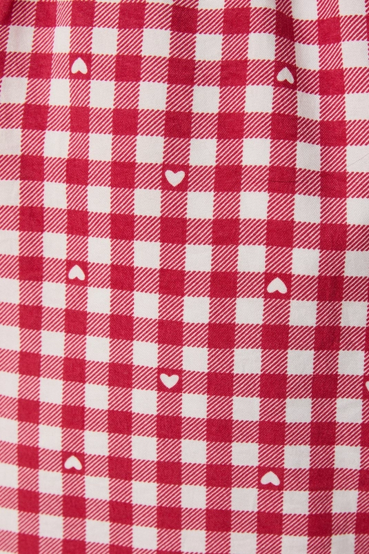HEARTS& GINGHAM BOXERS