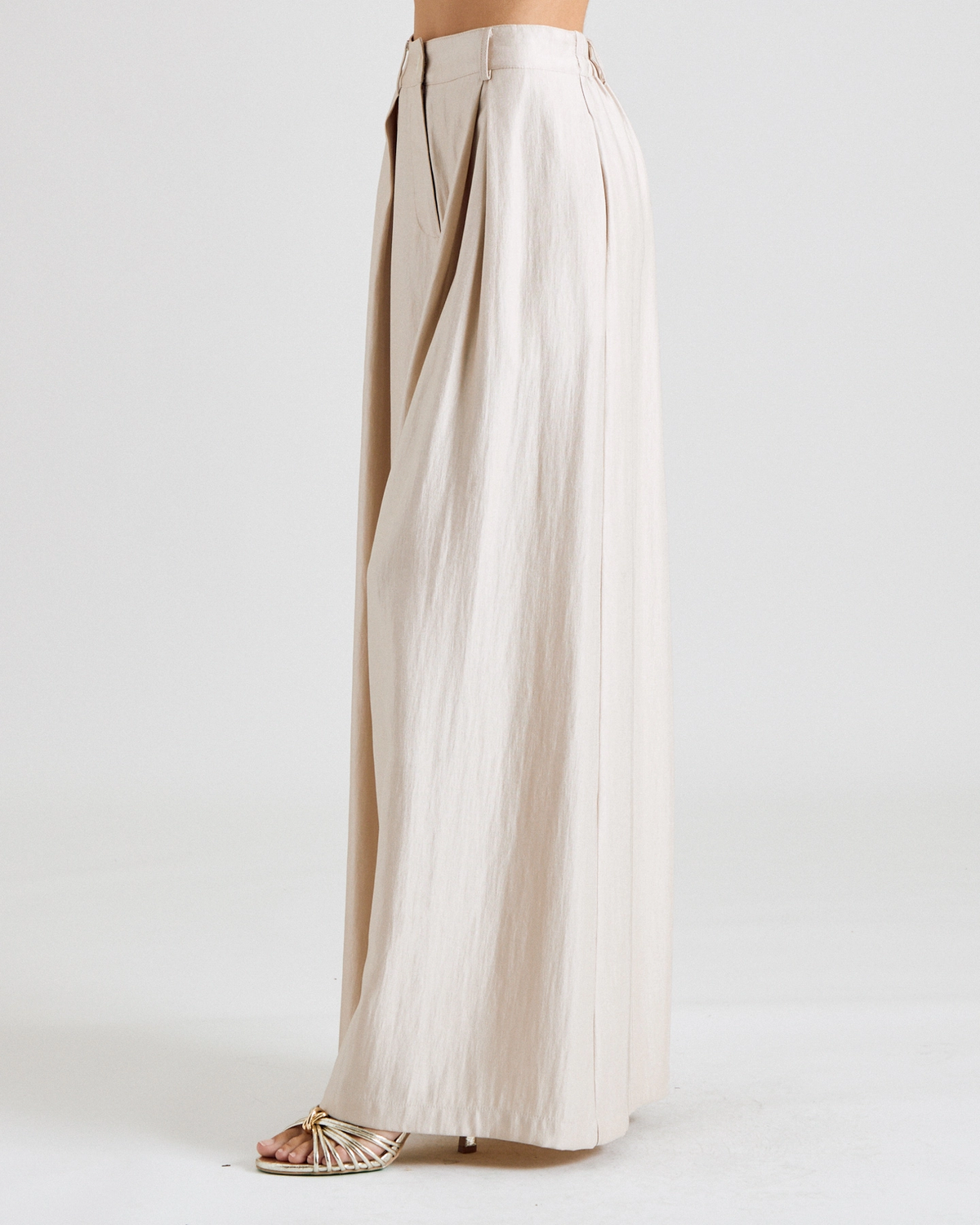 Wide-leg trousers showing front pleats and high-rise waist