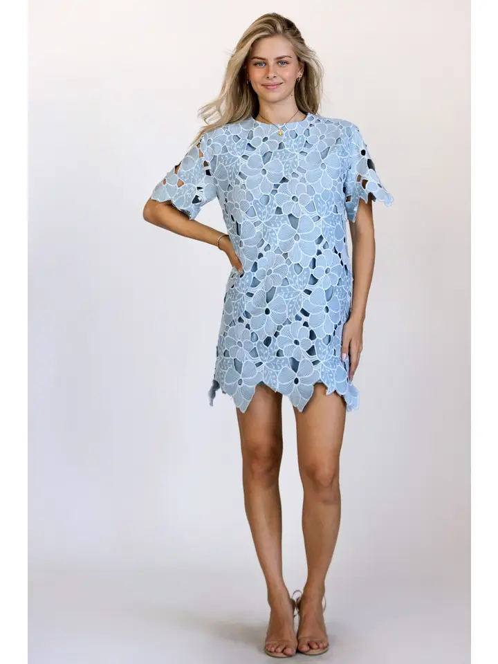 CUTOUT LACE MINI DRESS