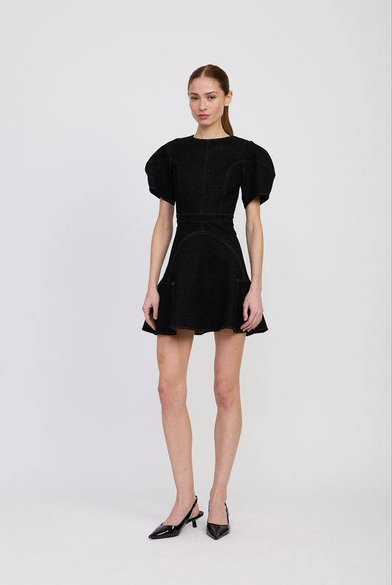 AALIYAH MINI DRESS