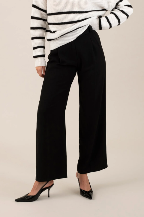 Model wearing black pleated wide-leg trousers