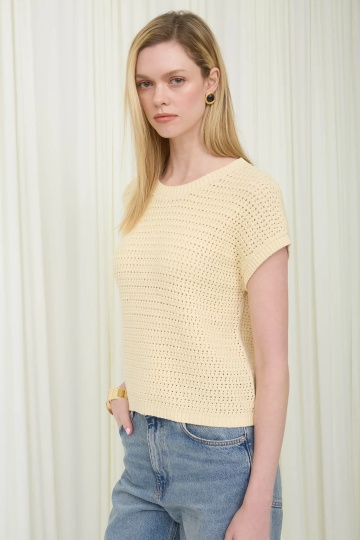 SHEER KNIT CREW NECK TOP